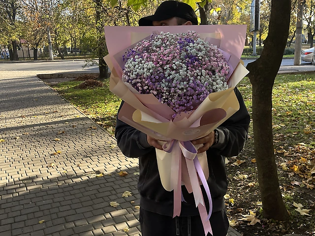 Райдужні гіпсофіли