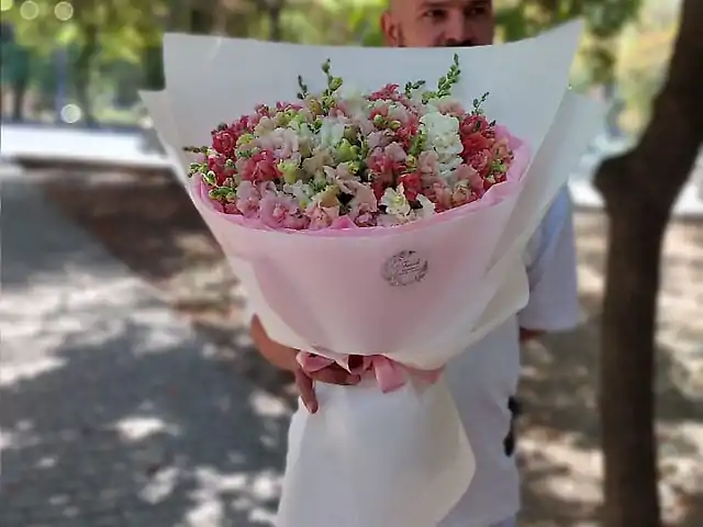 Антирринум Батерфляй