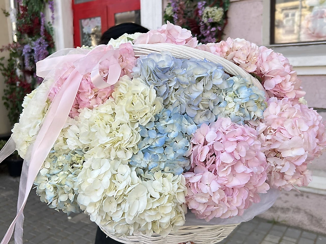 Великий кошик гортензій
