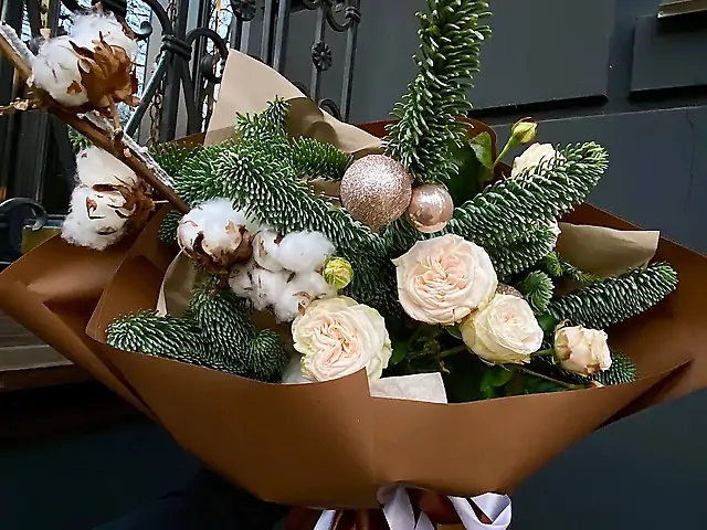 Зимова мрія