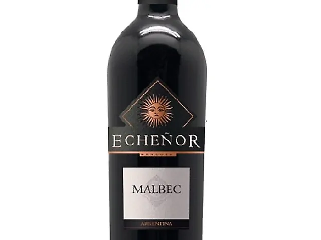 Вино Vin de Argentine Echenor Malbec черв. сухе, 13,5%  0,75