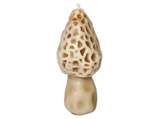 "Зморшок" свічка з бджолиного воску