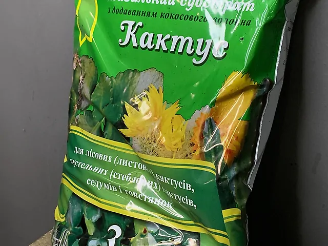 Земля кактус