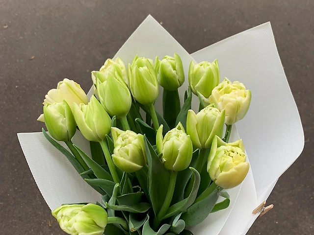 Букет &numero;51