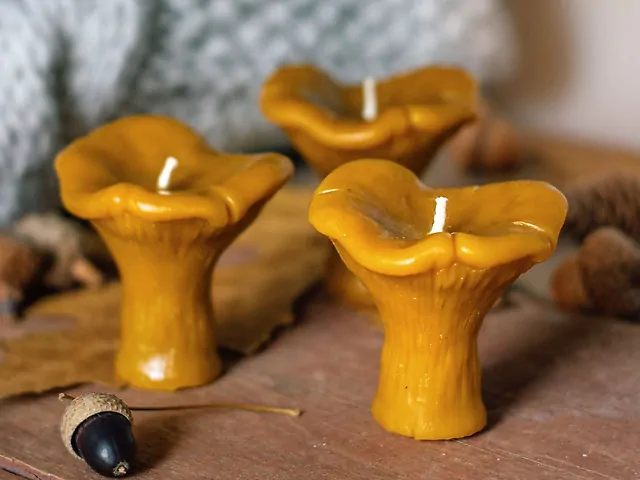 "Лисичка" свічка з бджолиного воску