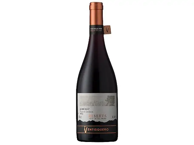Ventisquero Valle de Casablanca DO 2022 Pinot Noir Reserva