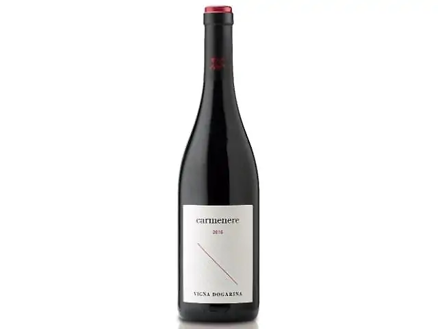 Vigna Dogarina Venezia DOC Carmenere