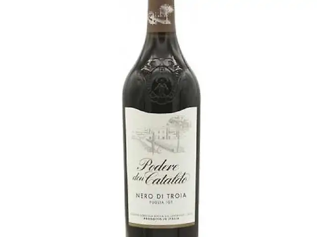 Вино Manieri Nero di Troia Puglia IGT 21 сухе черв. 14% 0.75л