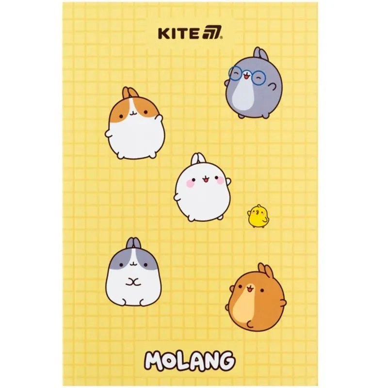 Блокнот, термобіндер А5, 64арк. ML