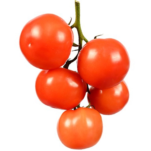 Помідори Туреччина на гілці