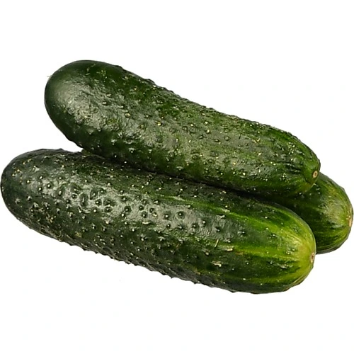 Огірок Туреччина колючий