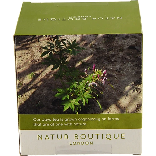 Чай Natur Boutigue дайєт 20п органік
