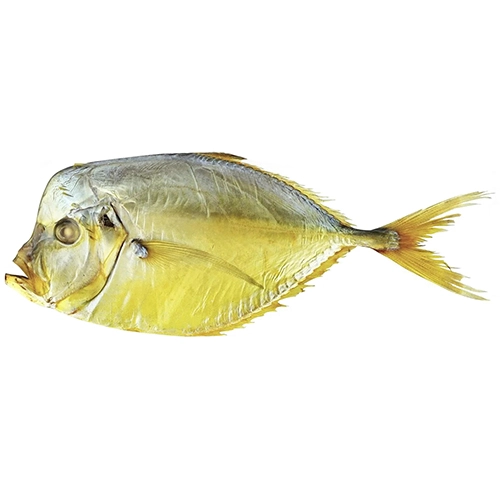 Вомер Green Marine великий гачок