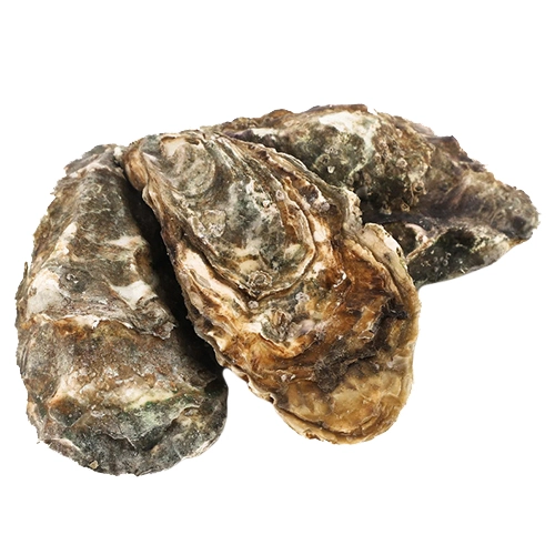 Устриці Святий Патрик 2