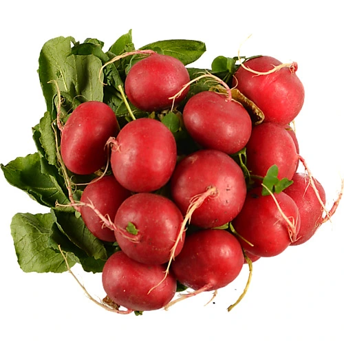Редиска пучок
