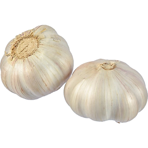 Часник ваговий