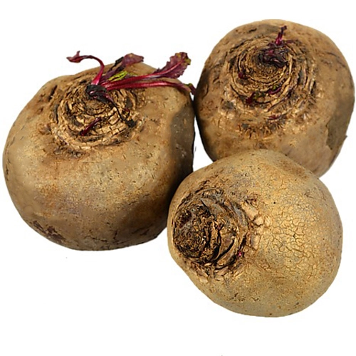 Буряк митий ваговий