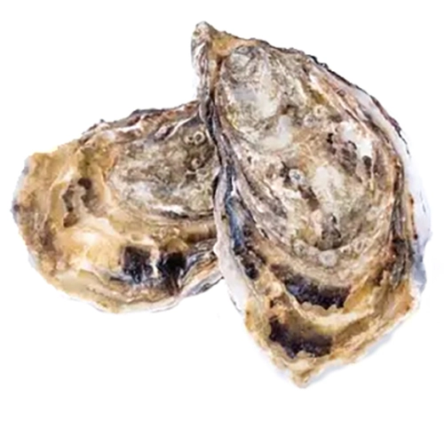 Устриці Жилярдо 2