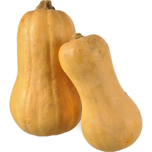 Кабак батернат Україна