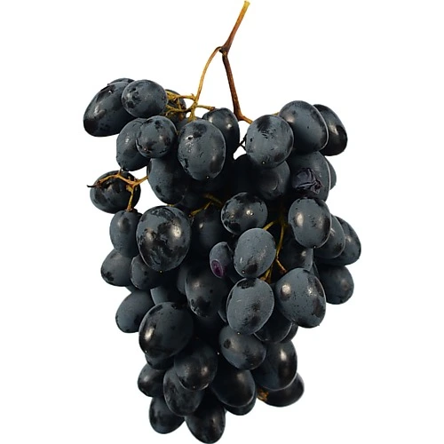 Виноград Молдова