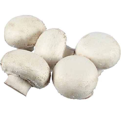 Гриби печериці вагові