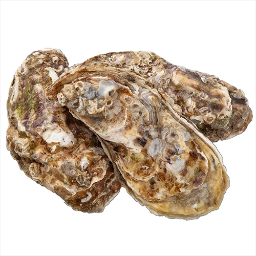 Устриці Фін де Клер GEAY 3