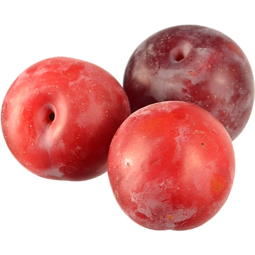 Слива Україна