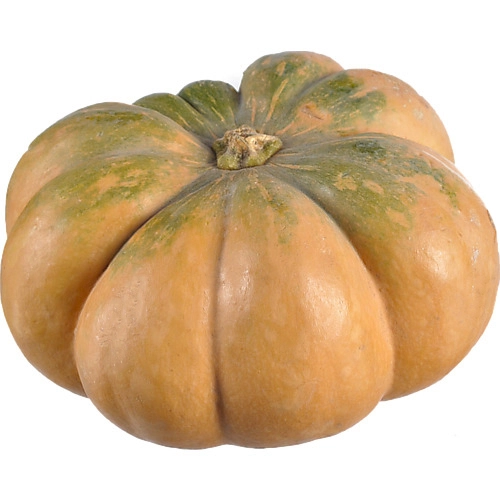 Кабак ромашка