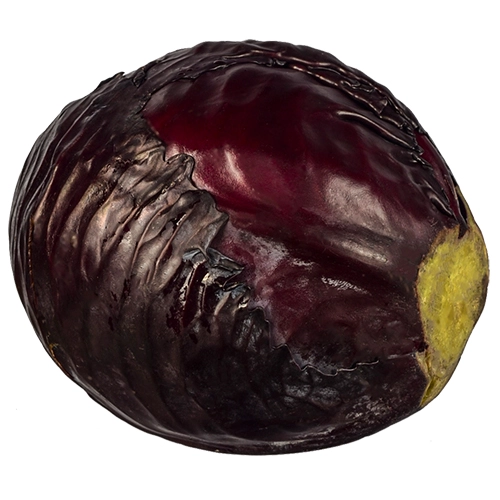 Капуста червонокачанна